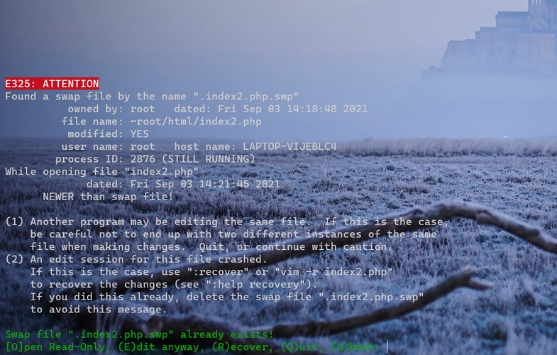 一句话木马php
