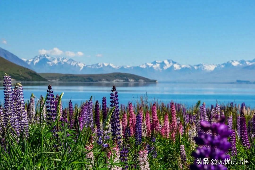 新西兰，地球上最容易移民的国家