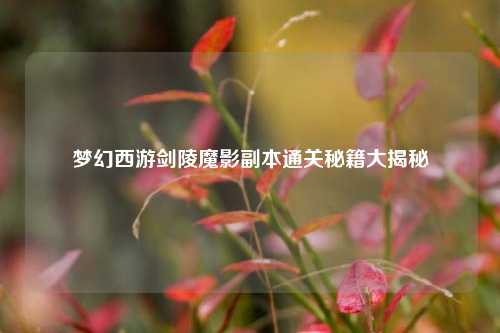 梦幻西游剑陵魔影副本通关秘籍大揭秘