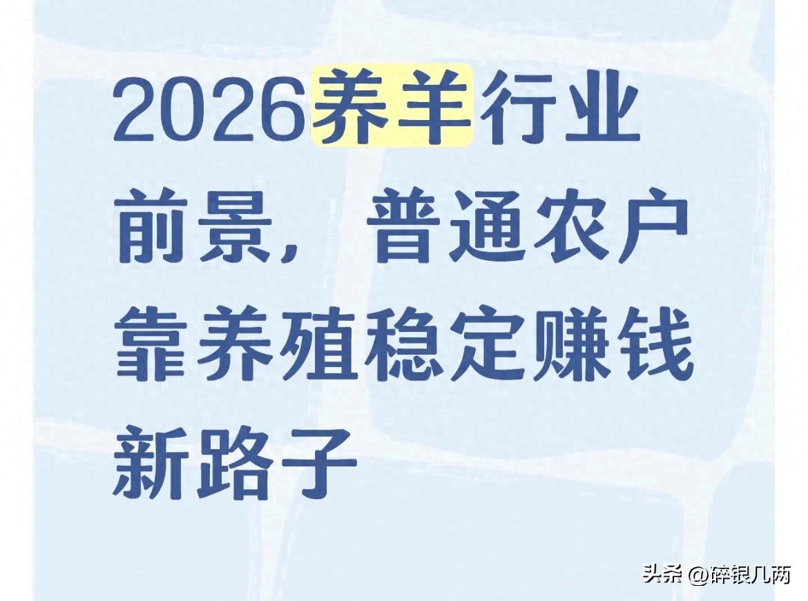 2026养羊行业前景，普通农户靠养殖稳定赚钱新路子