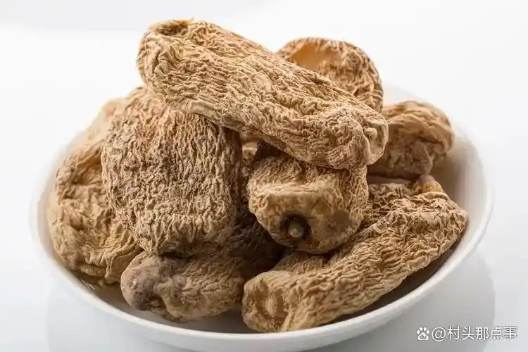 2026天麻黄精成新宠，种对了亩赚几万，妥妥摇钱树