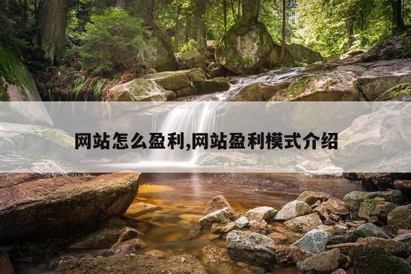 网站怎么盈利,网站盈利模式介绍