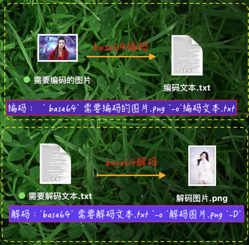 Base64 在线编码解码工具｜文本 Base64 互转，浏览器本地运算