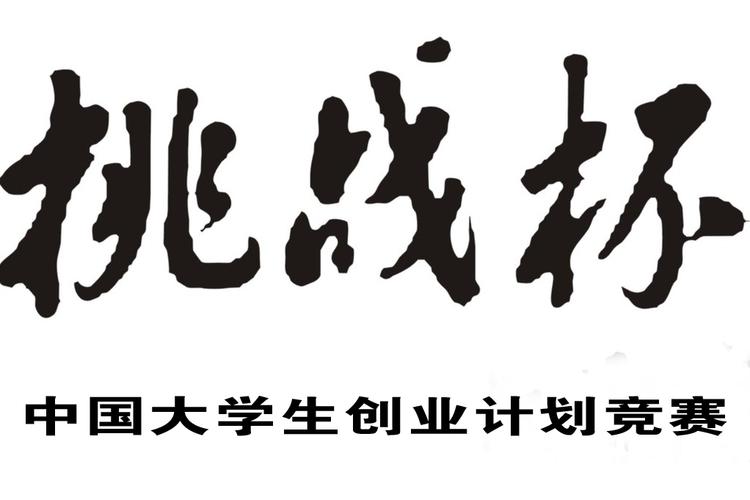 “挑战杯”中国大学生创业计划大赛（A+类）