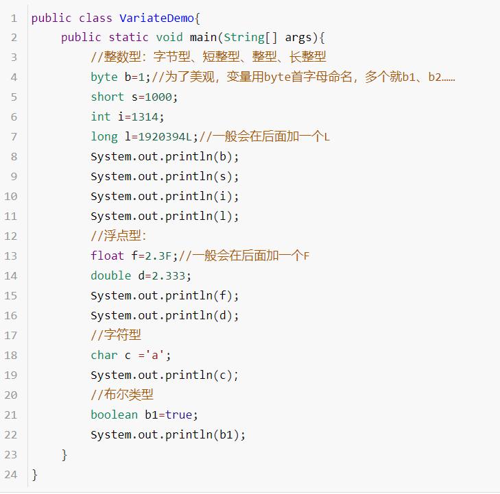 java中的常量和变量