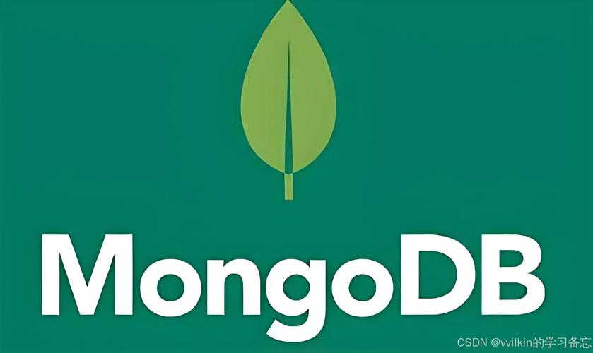 浅析MongoDB 全文检索