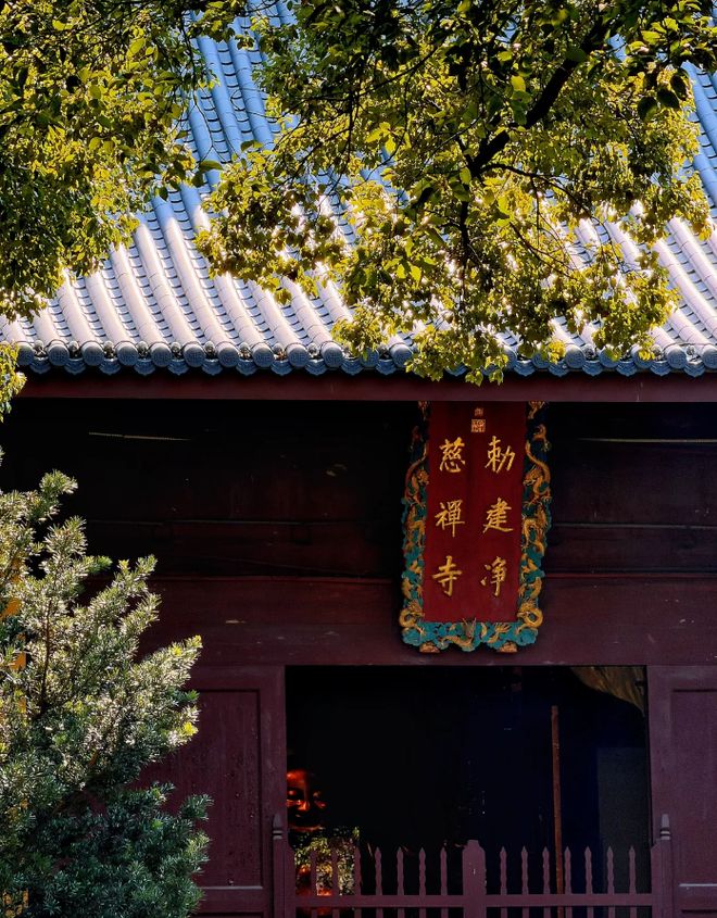 五一杭州踏青赏花纯玩跟团攻略，品质正规旅行社，透明报价不踩坑